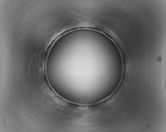 X0000113621220200910021819