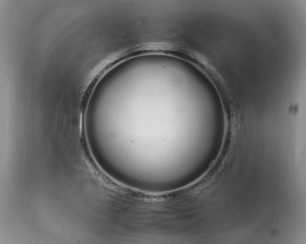 X0000113621221200910021819