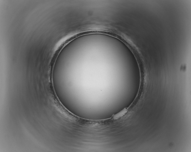 X0000113621222200910021819