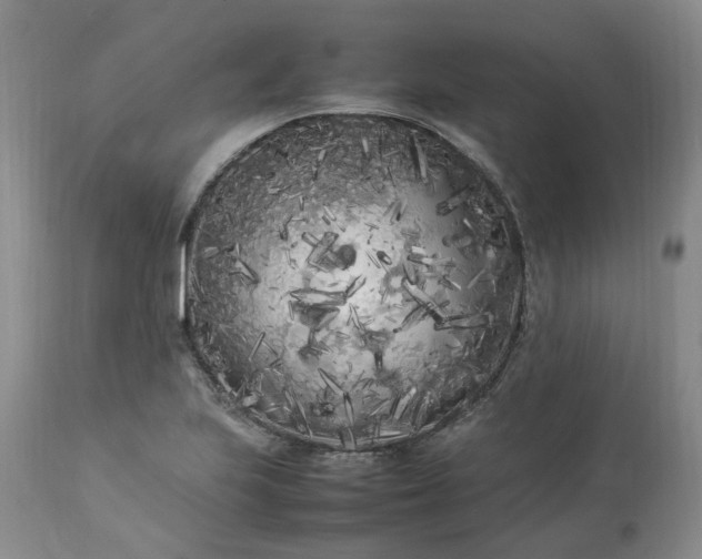 X0000113621223200910021819