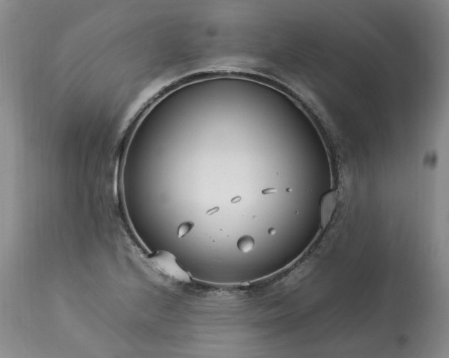 X0000113621224200910021819