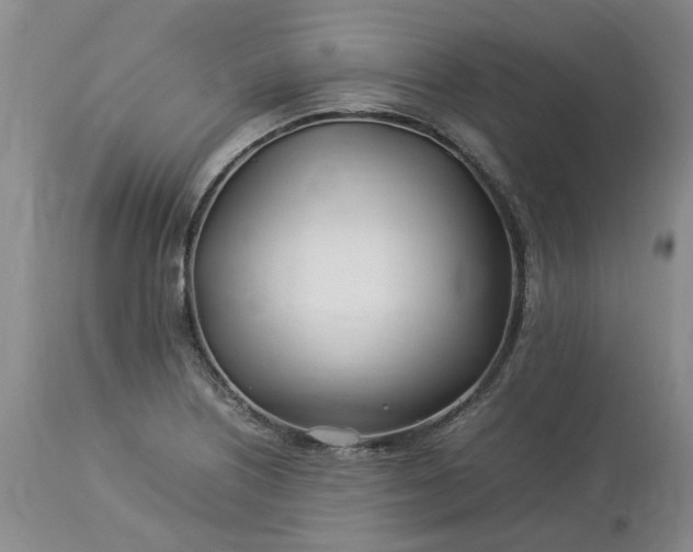 X0000113621226200910021819