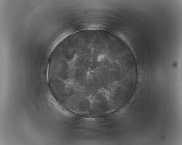 X0000113621227200910021819