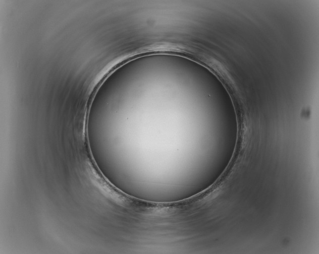 X0000113621228200910021819