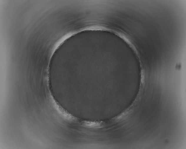 X0000113621229200910021819