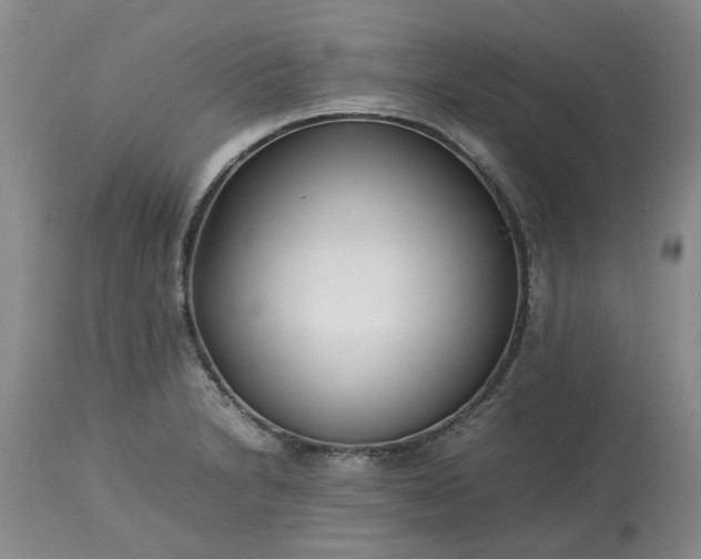 X0000113621230200910021819