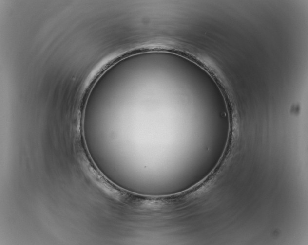 X0000113621232200910021819