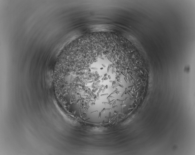 X0000113621233200910021819