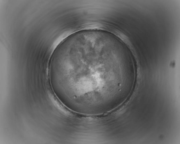 X0000113621234200910021819