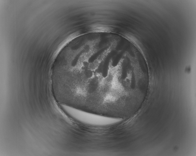 X0000113621235200910021819