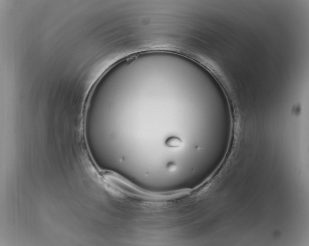 X0000113621236200910021819