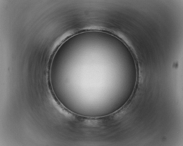 X0000113621237200910021820