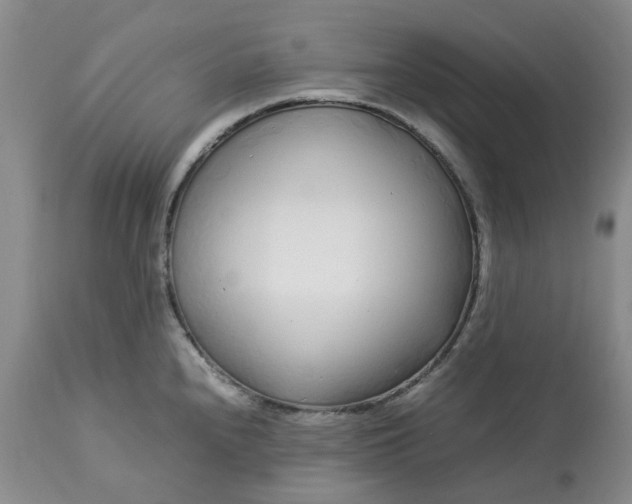 X0000113621240200910021820