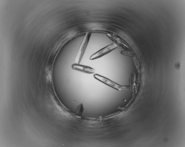 X0000113621241200910021820