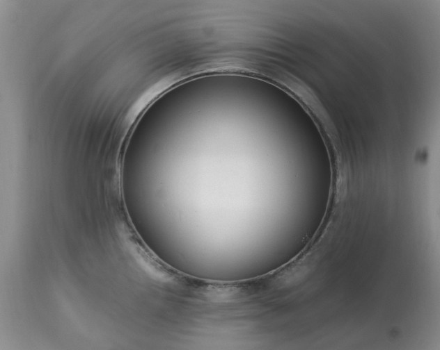 X0000113621242200910021820