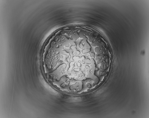 X0000113621243200910021820