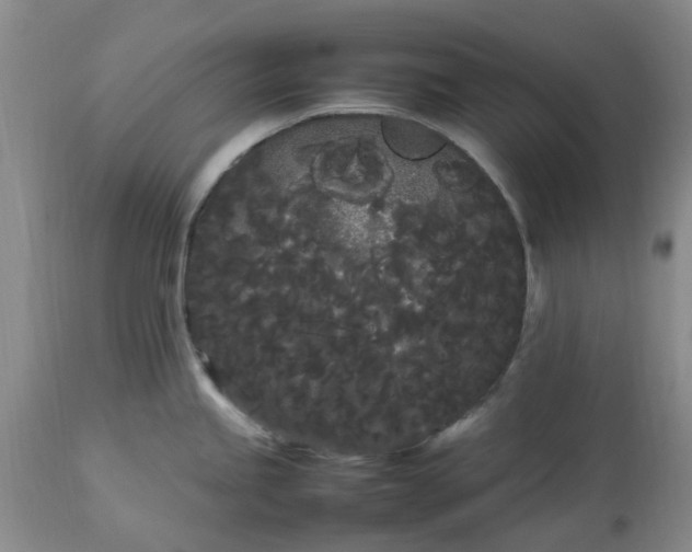 X0000113621245200910021820