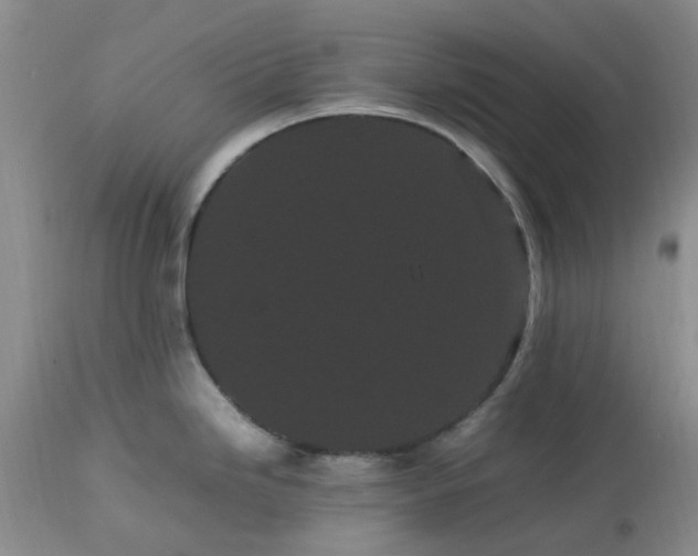 X0000113621246200910021820