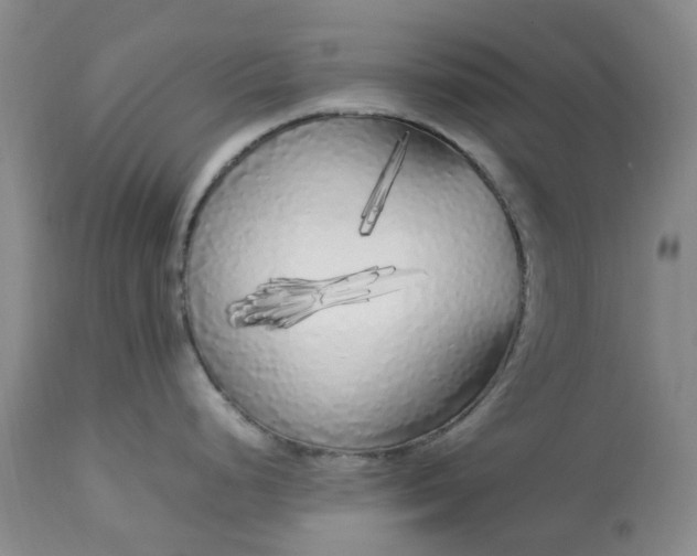 X0000113621248200910021820