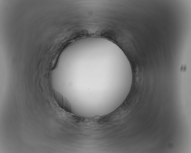 X0000113621249200910021819