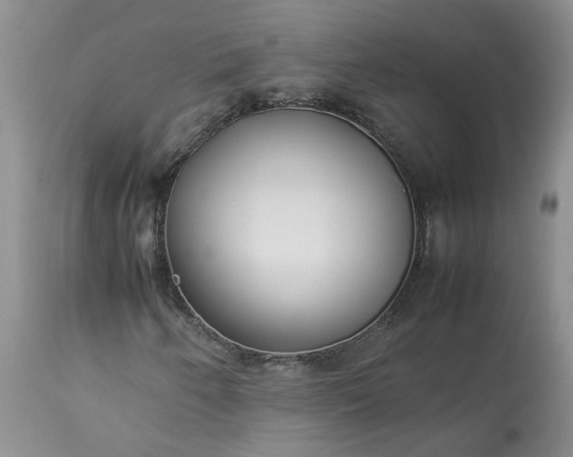 X0000113621250200910021819