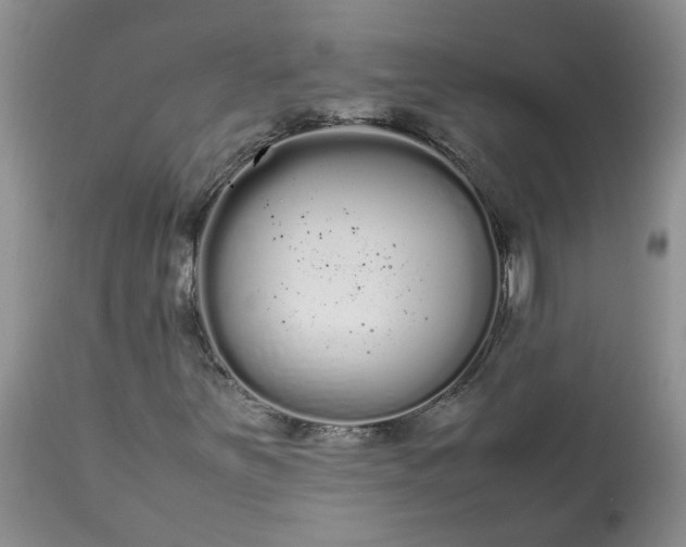 X0000113621251200910021819