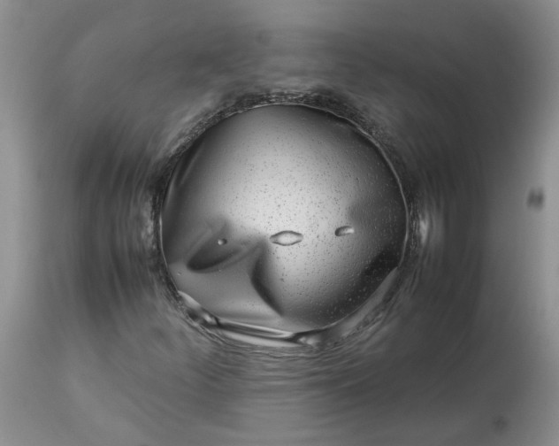 X0000113621252200910021819