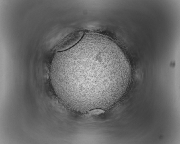 X0000113621253200910021819