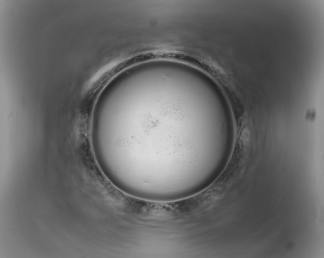 X0000113621255200910021819