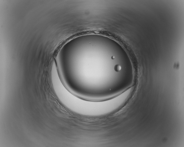 X0000113621257200910021819