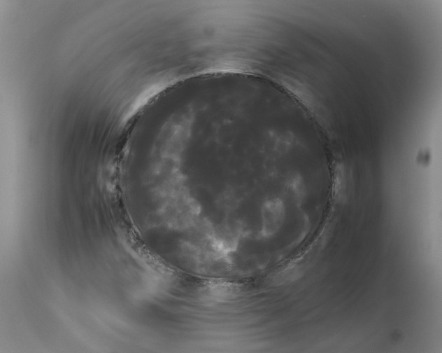 X0000113621258200910021819