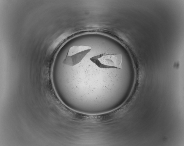 X0000113621259200910021819