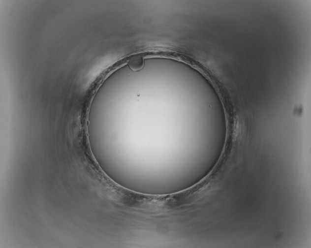 X0000113621261200910021819