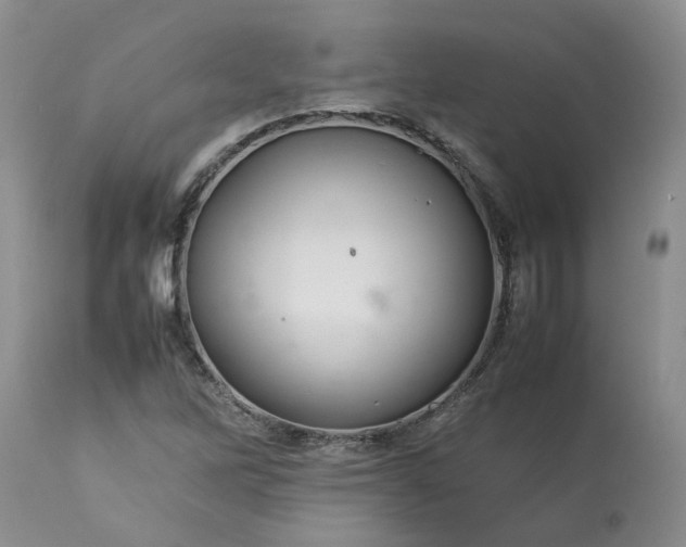 X0000113621262200910021819