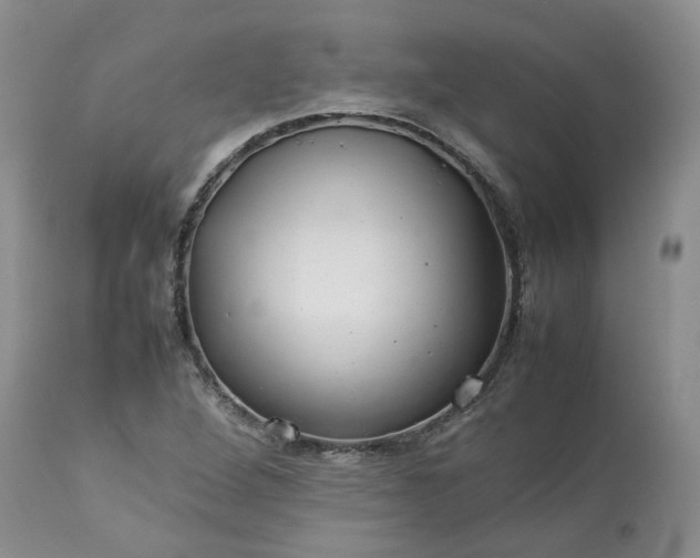 X0000113621264200910021819