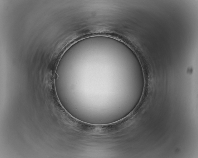 X0000113621265200910021819