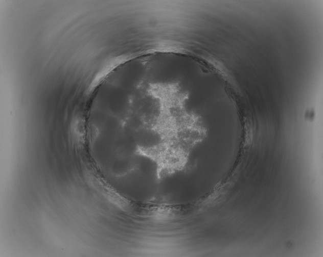 X0000113621266200910021819