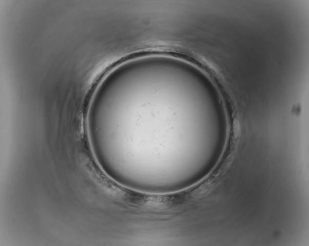 X0000113621267200910021819