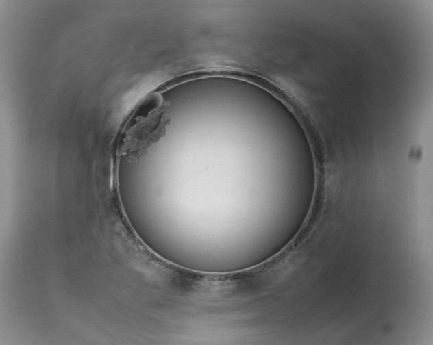 X0000113621269200910021819