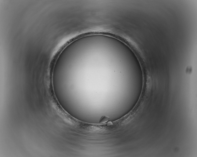 X0000113621270200910021819