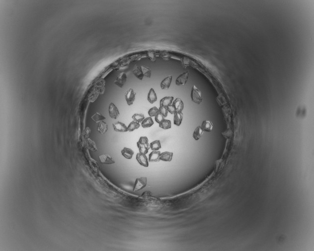 X0000113621271200910021819