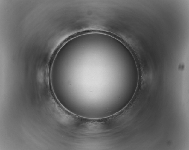 X0000113621272200910021819