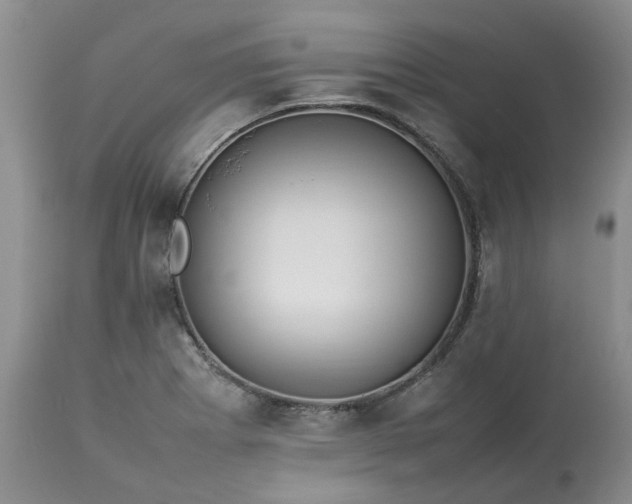 X0000113621273200910021819