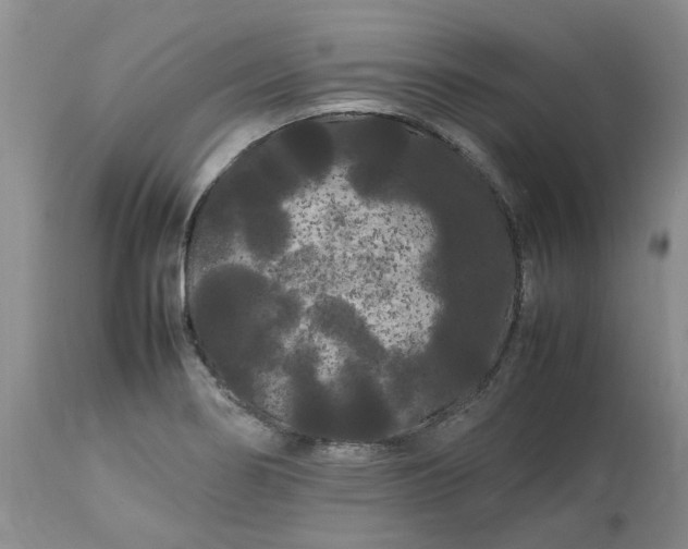 X0000113621274200910021819