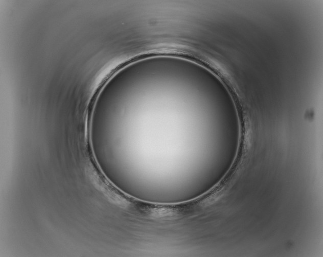 X0000113621275200910021819