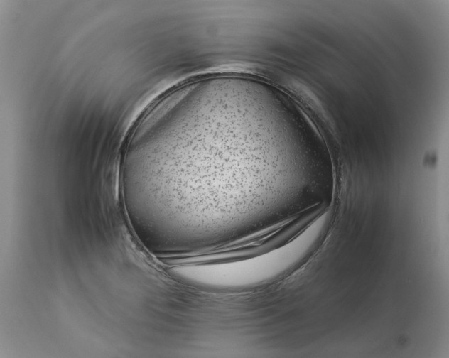 X0000113621276200910021819