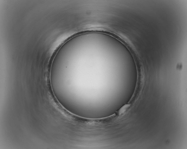 X0000113621277200910021819