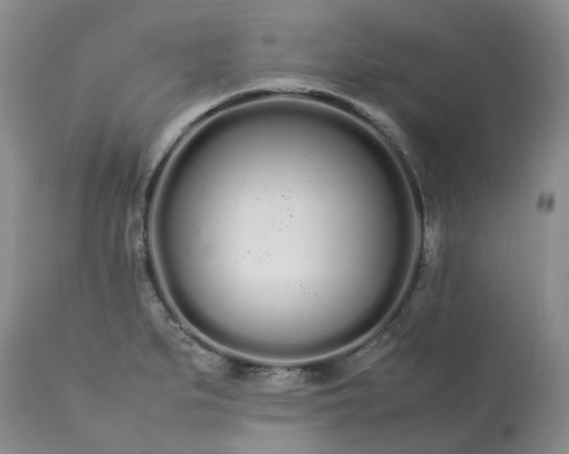 X0000113621279200910021819