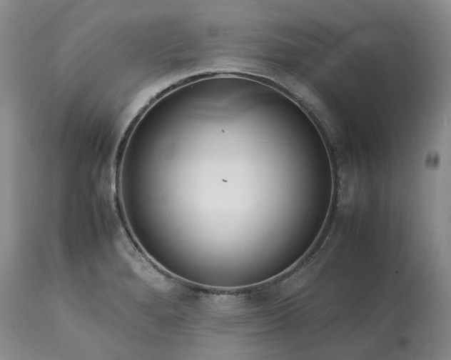 X0000113621280200910021819