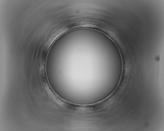 X0000113621281200910021819